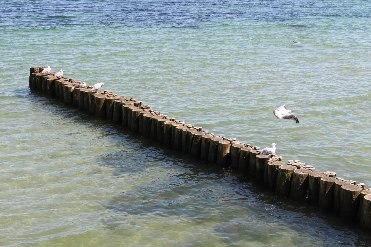 Appartamento Yachthafenresidenz Ostseebad Kühlungsborn Esterno foto